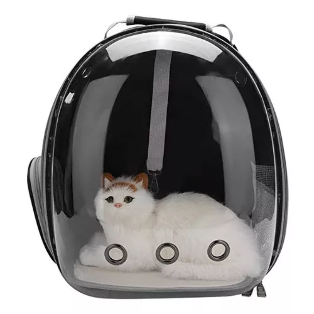 Mastershop Product Image