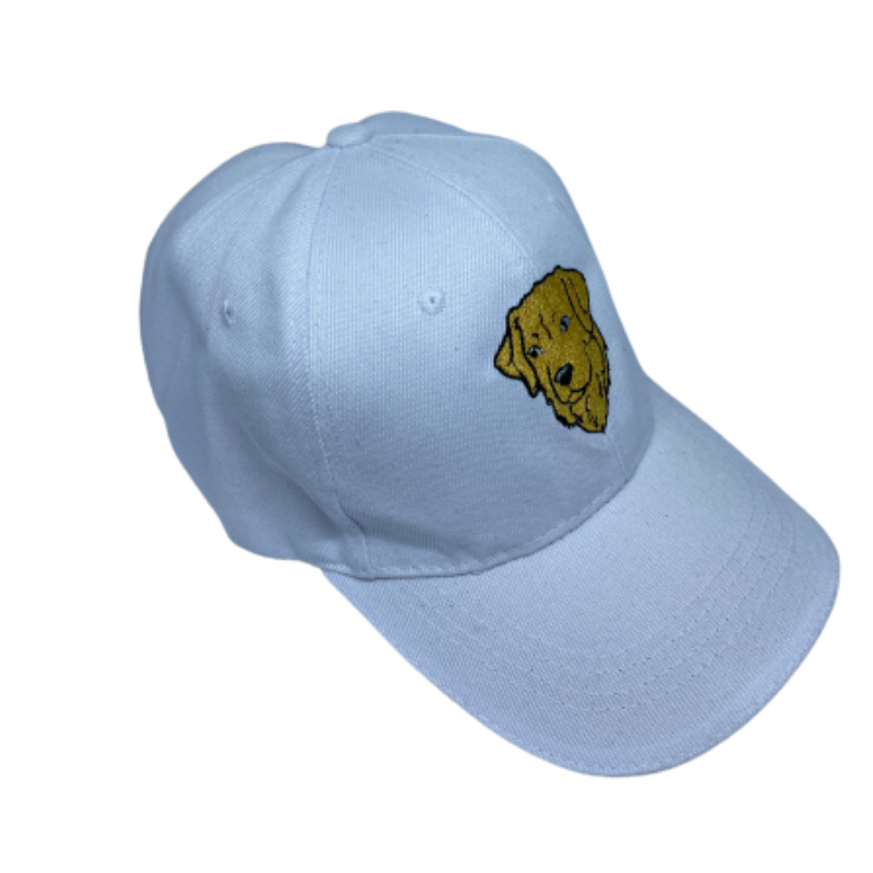 GORRAS LE ROI BORDADAS