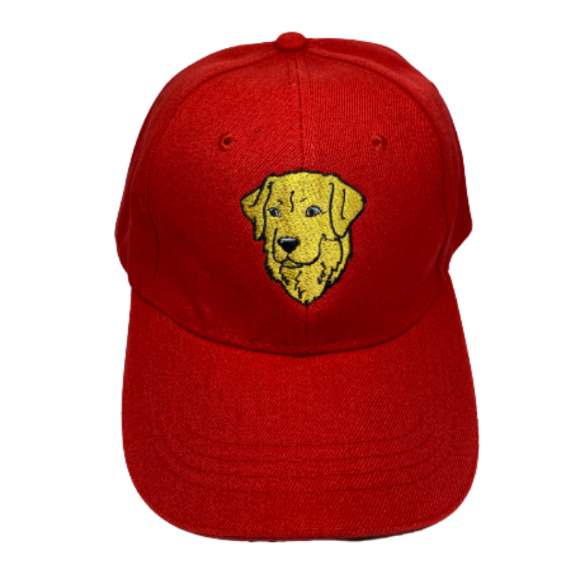 GORRAS LE ROI BORDADAS