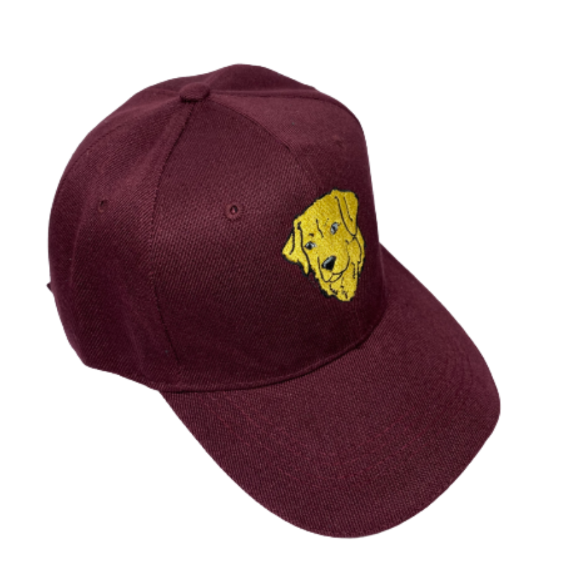 GORRAS LE ROI BORDADAS